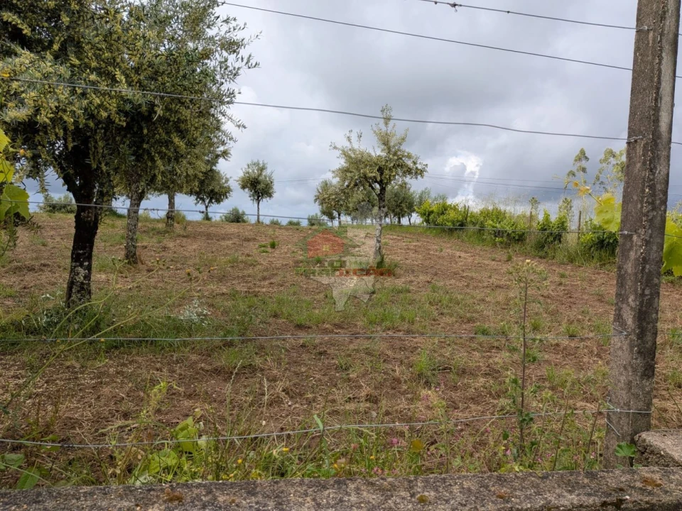 Terreno para Venda em Cabeçudo Foto 5