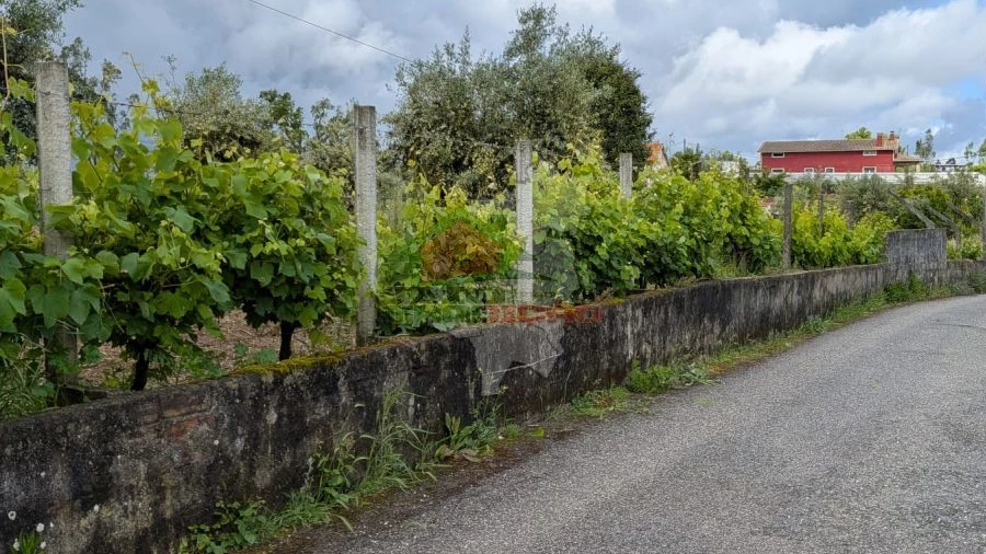 Terreno para Venda em Cabeçudo