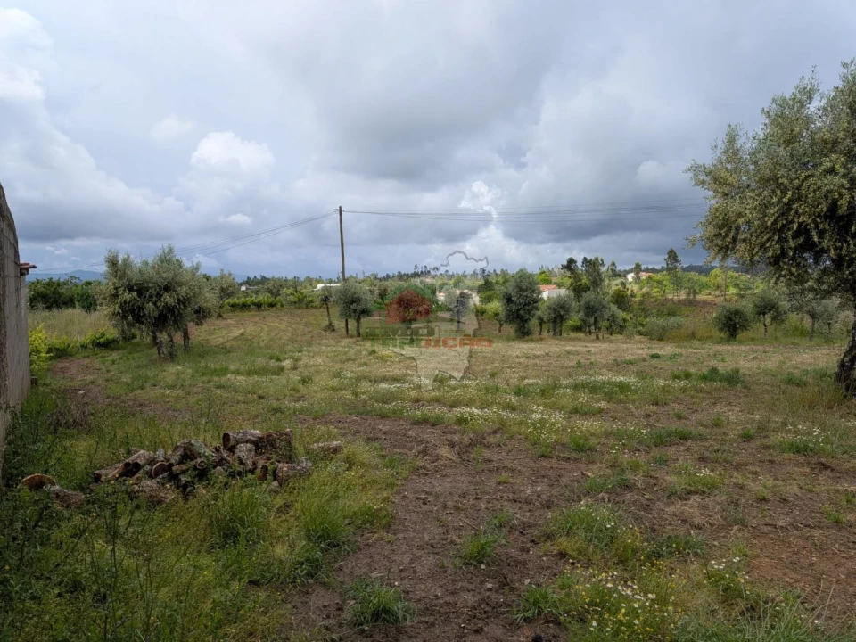 Terreno para Venda em Cabeçudo Foto 9