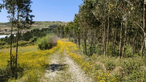 Terreno para Venda em Vimeiro