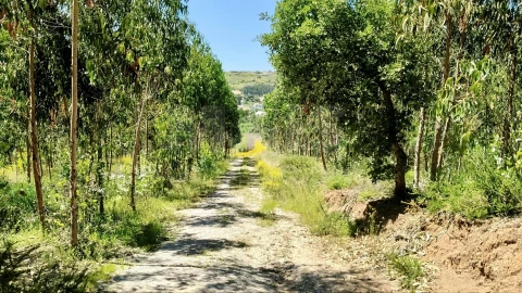 Terreno para Venda em Vimeiro