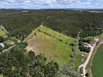 Terreno para Venda em Vimeiro
