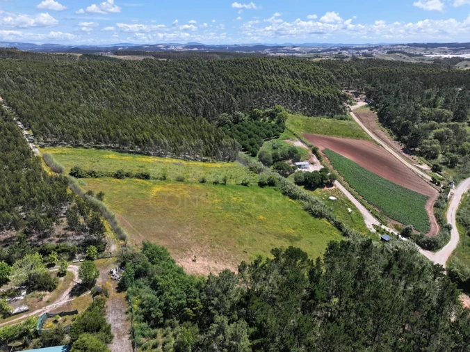 Terreno para Venda em Vimeiro Foto 6