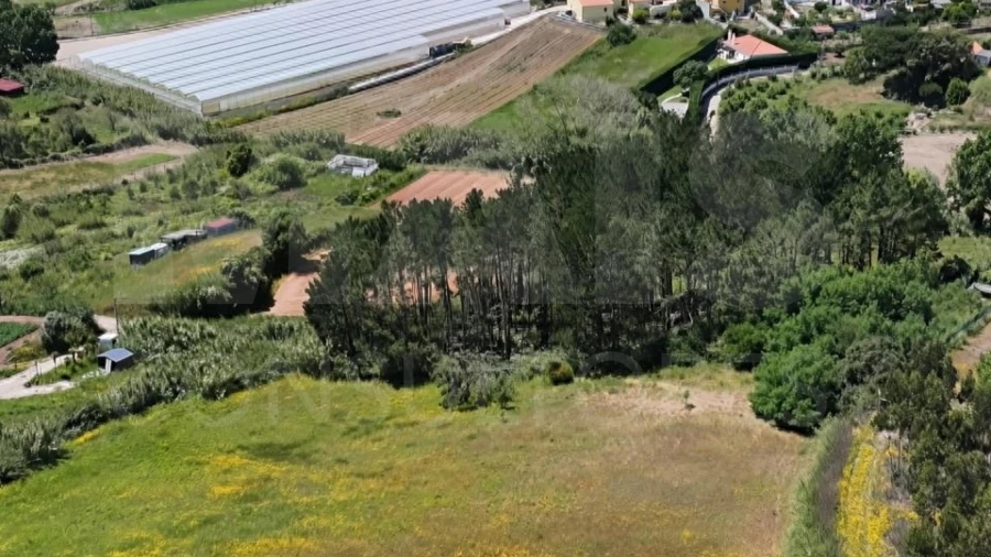 Terreno para Venda em Vimeiro