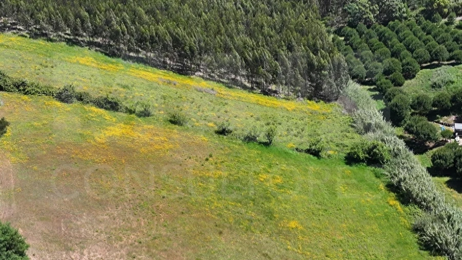Terreno para Venda em Vimeiro