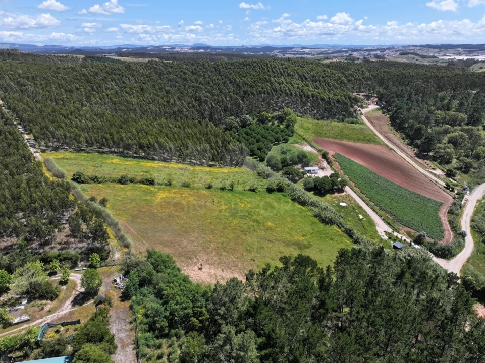 Terreno para Venda em Vimeiro Foto 6