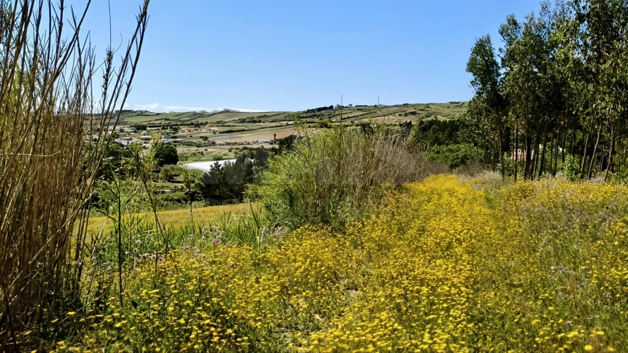 Terreno para Venda em Vimeiro Foto 12