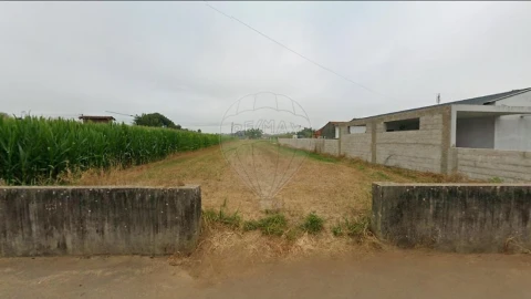 Terreno para Venda em Loureiro