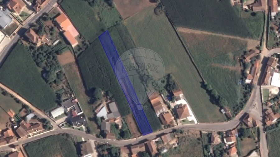 Terreno para Venda em Loureiro Foto 5