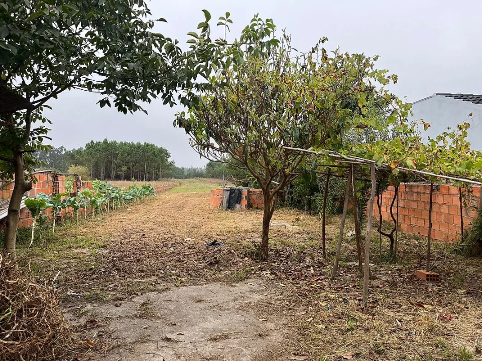 Moradia T2 para Venda em Ouca Foto 37