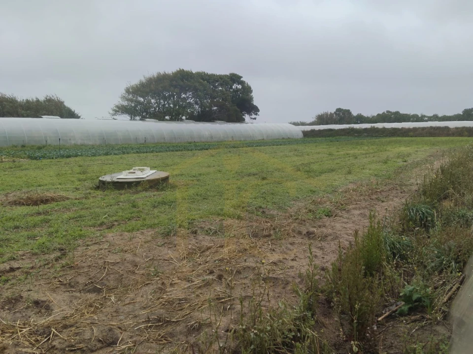 Terreno Agricola ou Rústico para Venda em Estela Foto 1