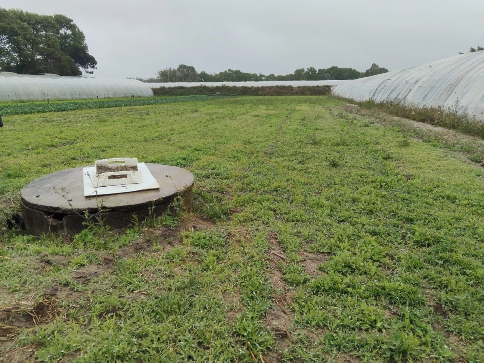 Terreno Agricola ou Rústico para Venda em Estela Foto 2