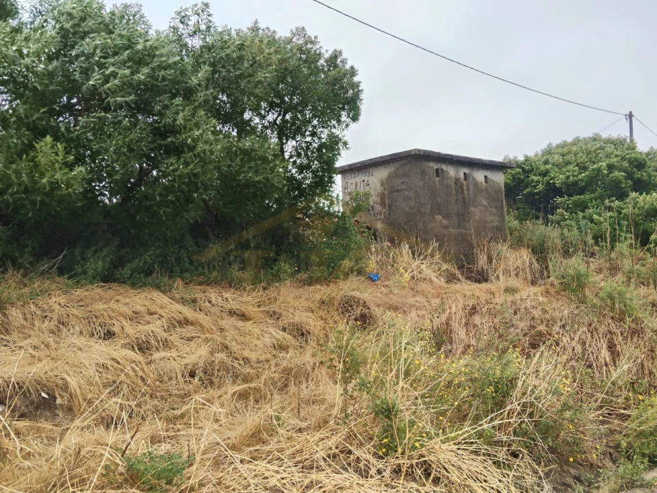 Terreno Agricola ou Rústico para Venda em Estela Foto 3