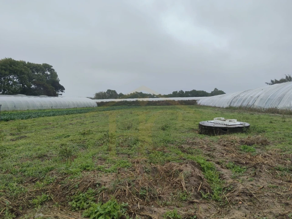 Terreno Agricola ou Rústico para Venda em Estela Foto 4