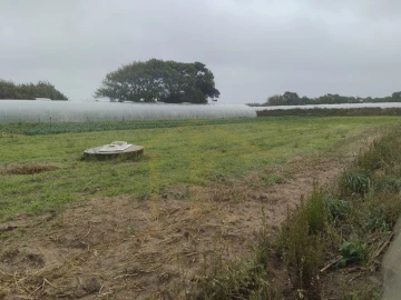 Terreno Agricola ou Rústico para Venda em Estela