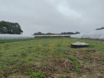Terreno Agricola ou Rústico para Venda em Estela