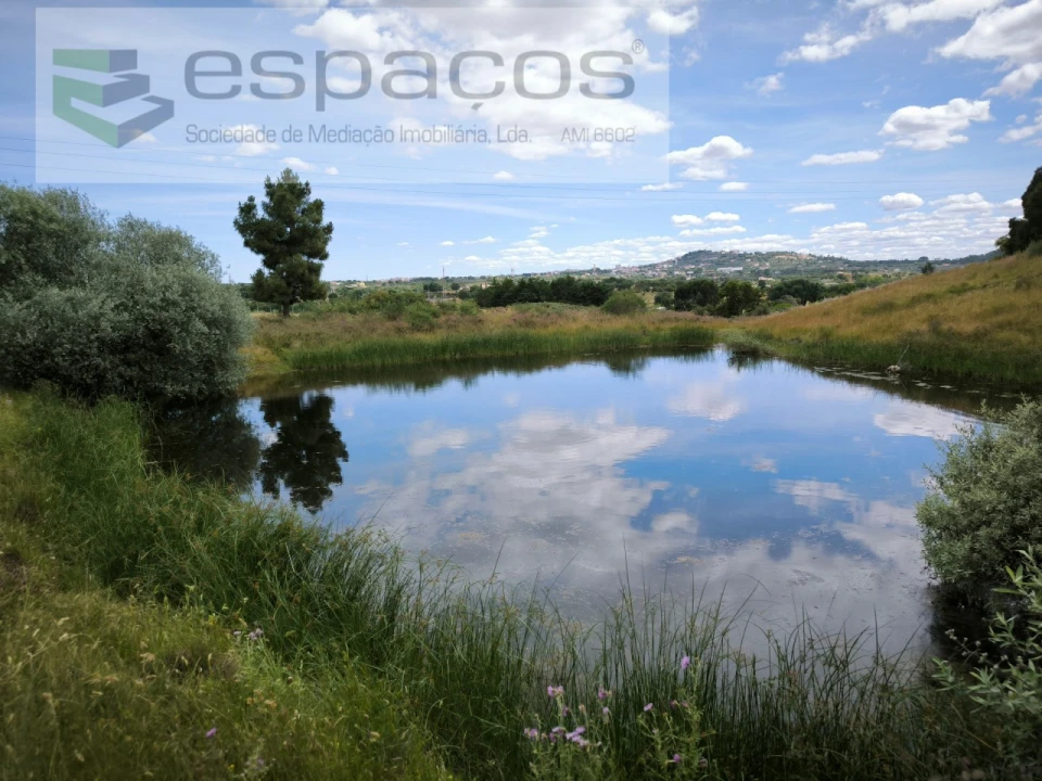 Terreno Agricola ou Rústico para Venda em Castelo Branco Foto 1
