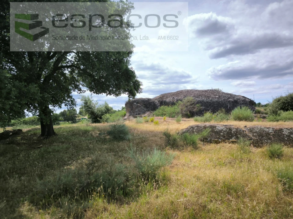 Terreno Agricola ou Rústico para Venda em Castelo Branco Foto 2