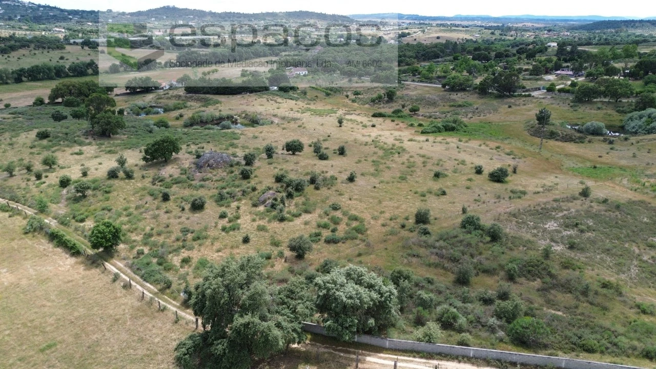 Terreno Agricola ou Rústico para Venda em Castelo Branco Foto 10