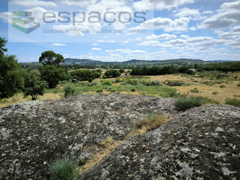 Terreno Agricola ou Rústico para Venda em Castelo Branco Foto 12