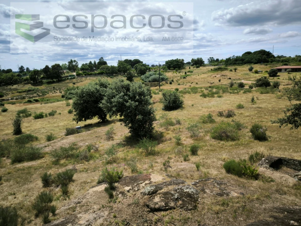 Terreno Agricola ou Rústico para Venda em Castelo Branco Foto 13