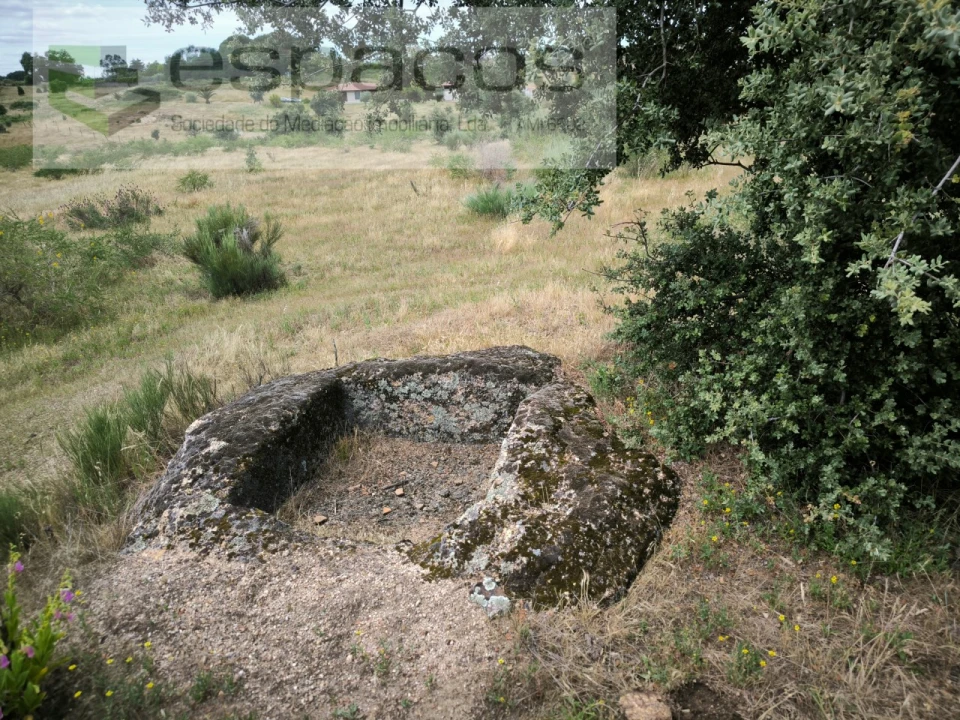 Terreno Agricola ou Rústico para Venda em Castelo Branco Foto 14