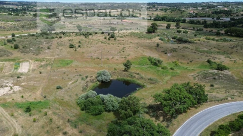 Terreno Agricola ou Rústico para Venda em Castelo Branco