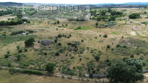 Terreno Agricola ou Rústico para Venda em Castelo Branco