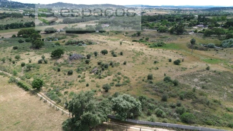 Terreno Agricola ou Rústico para Venda em Castelo Branco