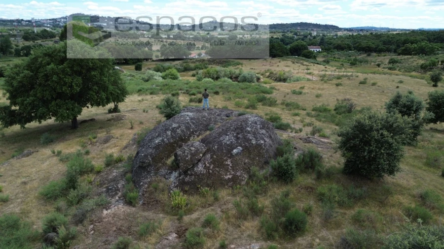 Terreno Agricola ou Rústico para Venda em Castelo Branco Foto 3