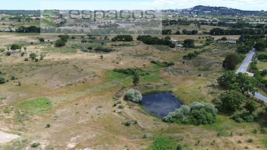 Terreno Agricola ou Rústico para Venda em Castelo Branco Foto 5
