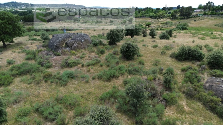 Terreno Agricola ou Rústico para Venda em Castelo Branco Foto 11
