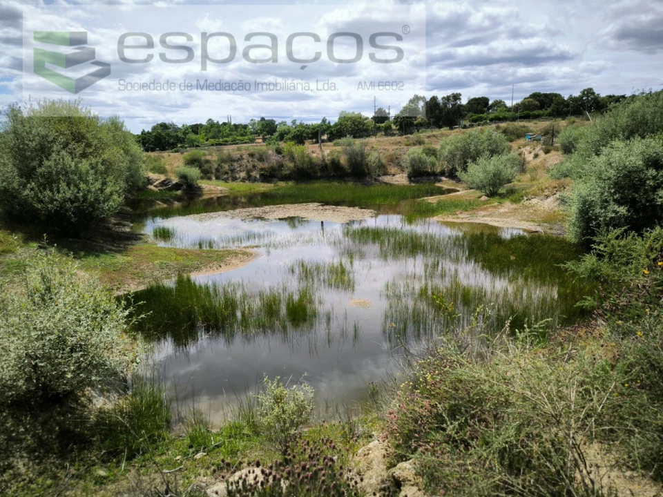 Terreno para Venda em Castelo Branco Foto 1