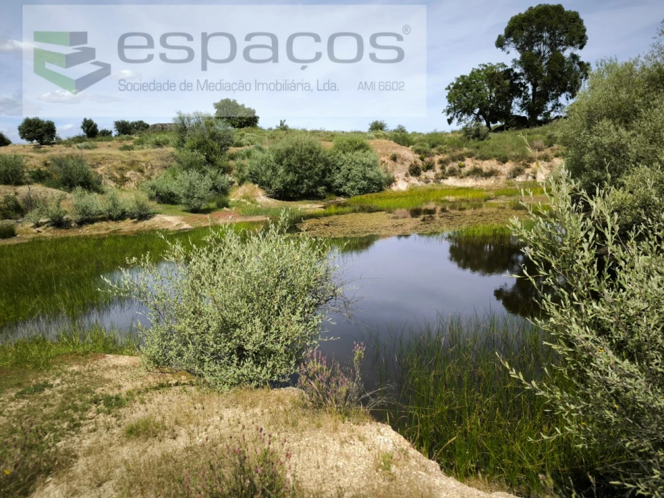 Terreno para Venda em Castelo Branco Foto 2
