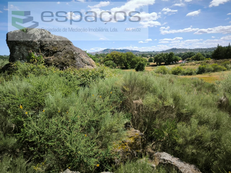 Terreno para Venda em Castelo Branco Foto 3