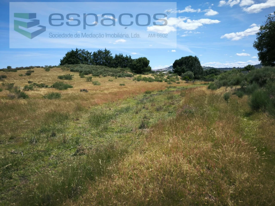 Terreno para Venda em Castelo Branco Foto 4