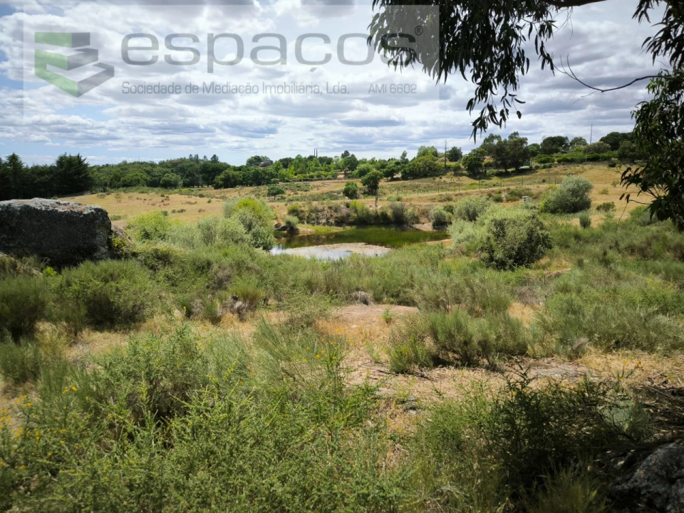 Terreno para Venda em Castelo Branco Foto 5