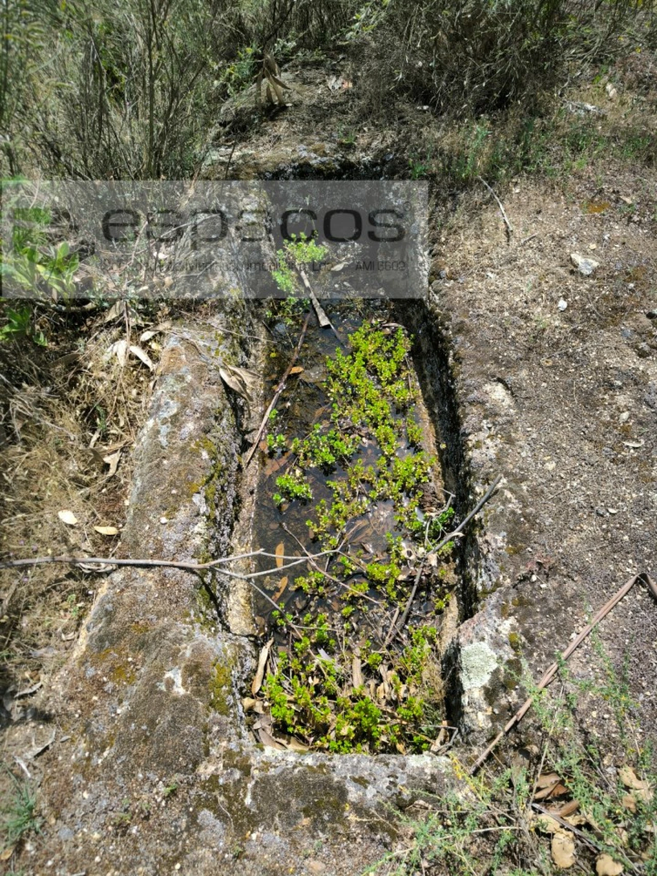 Terreno para Venda em Castelo Branco Foto 12