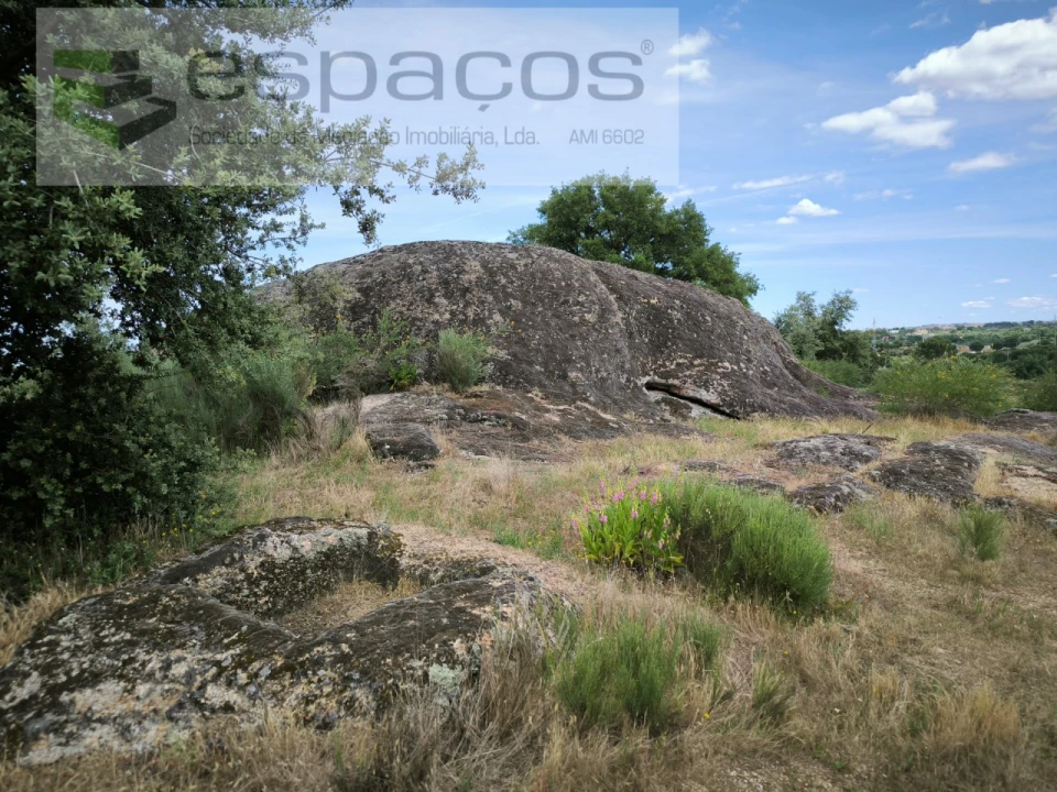 Terreno para Venda em Castelo Branco Foto 15