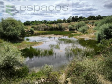 Terreno para Venda em Castelo Branco