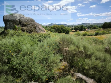 Terreno para Venda em Castelo Branco