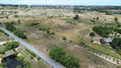 Terreno para Venda em Castelo Branco