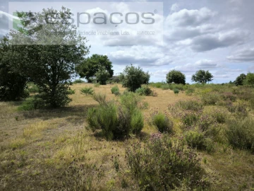 Terreno para Venda em Castelo Branco