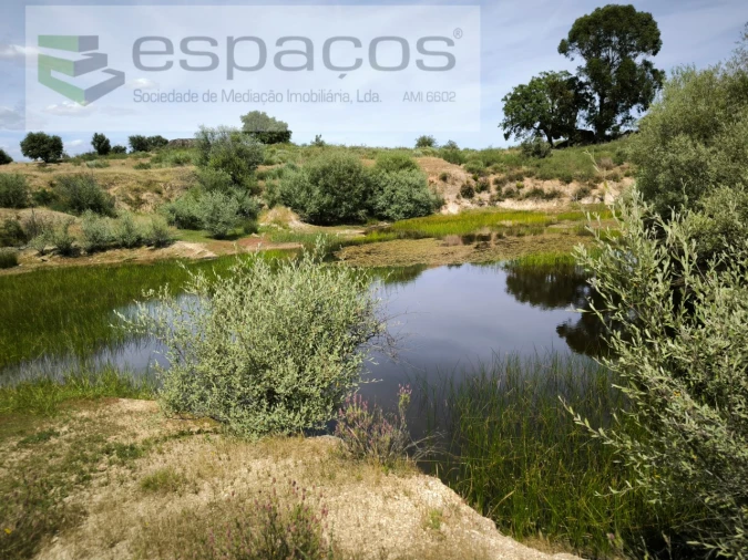 Terreno para Venda em Castelo Branco Foto 2
