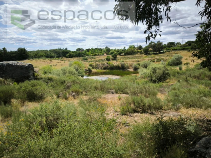 Terreno para Venda em Castelo Branco Foto 5