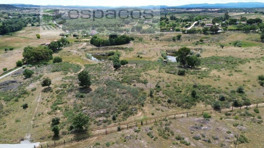 Terreno para Venda em Castelo Branco Foto 10