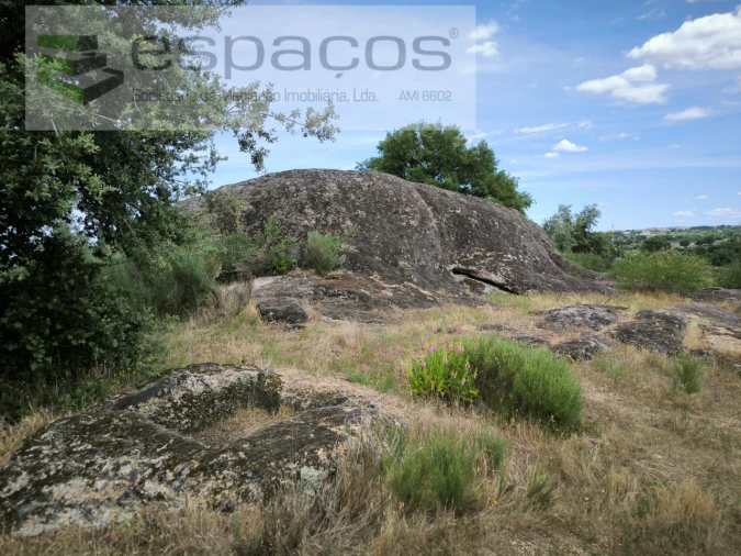 Terreno para Venda em Castelo Branco Foto 15