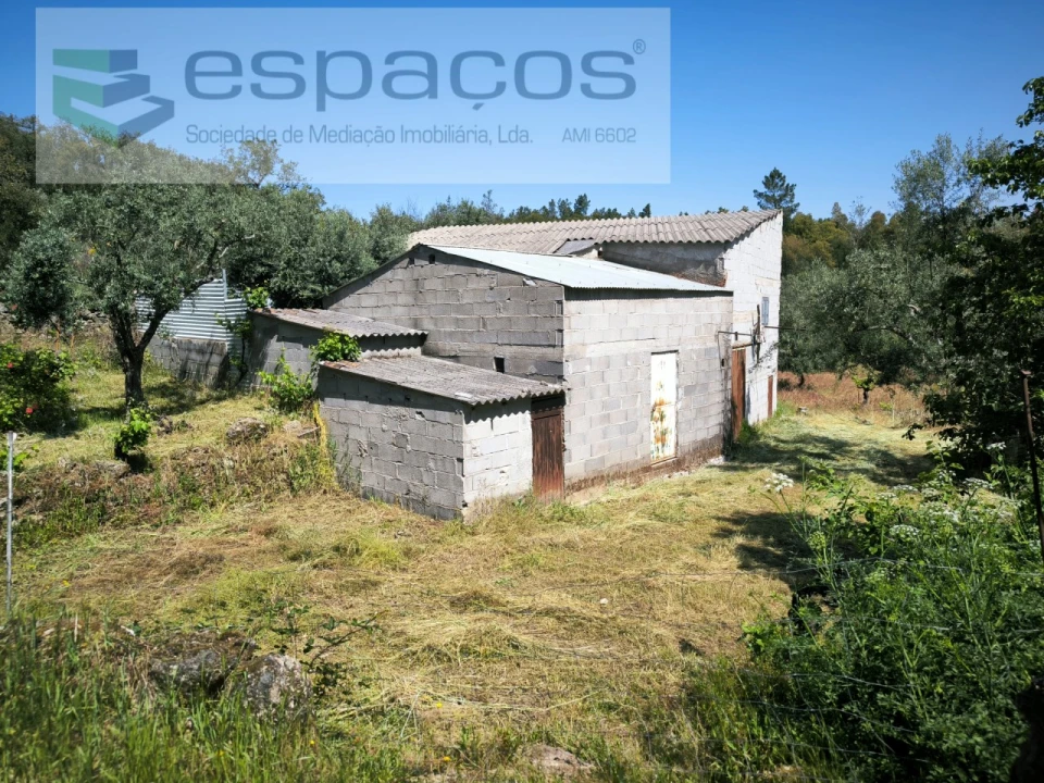 Quinta para Venda em Salgueiro do Campo Foto 1