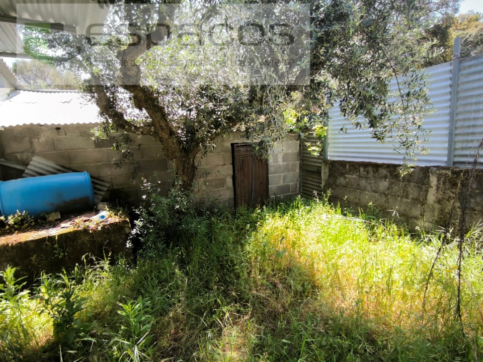 Quinta para Venda em Salgueiro do Campo Foto 2