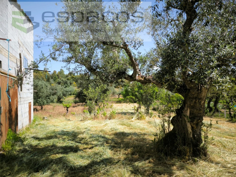 Quinta para Venda em Salgueiro do Campo Foto 5